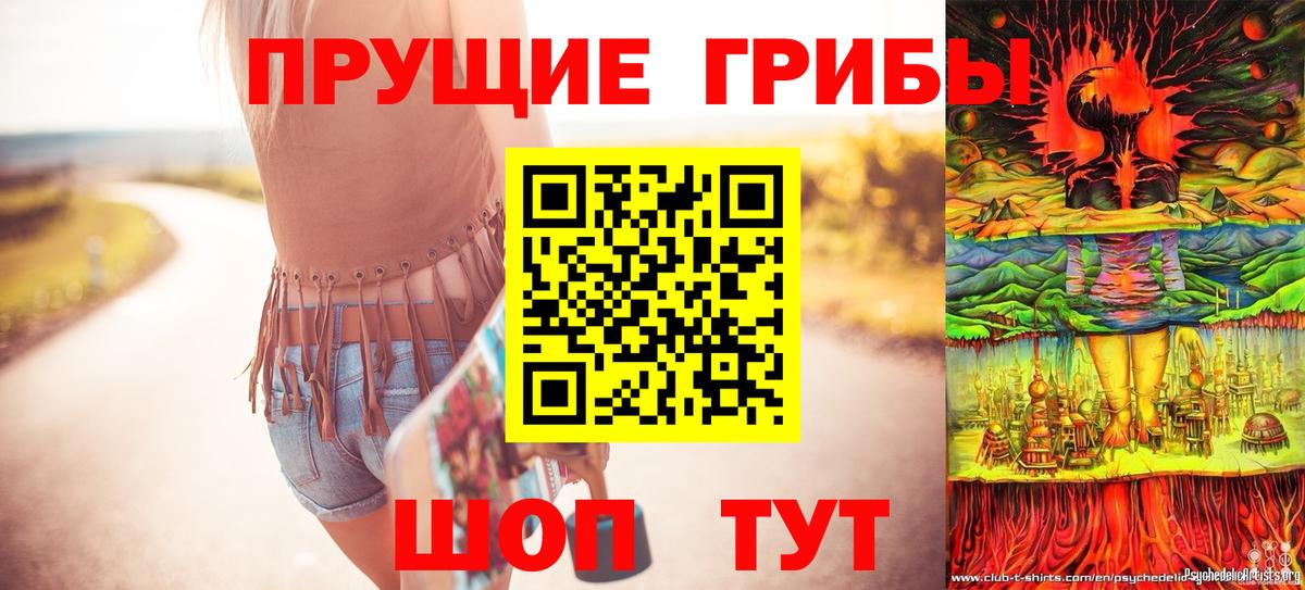 Галлюциногенные грибы Cubensis Муравленко